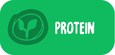 protein